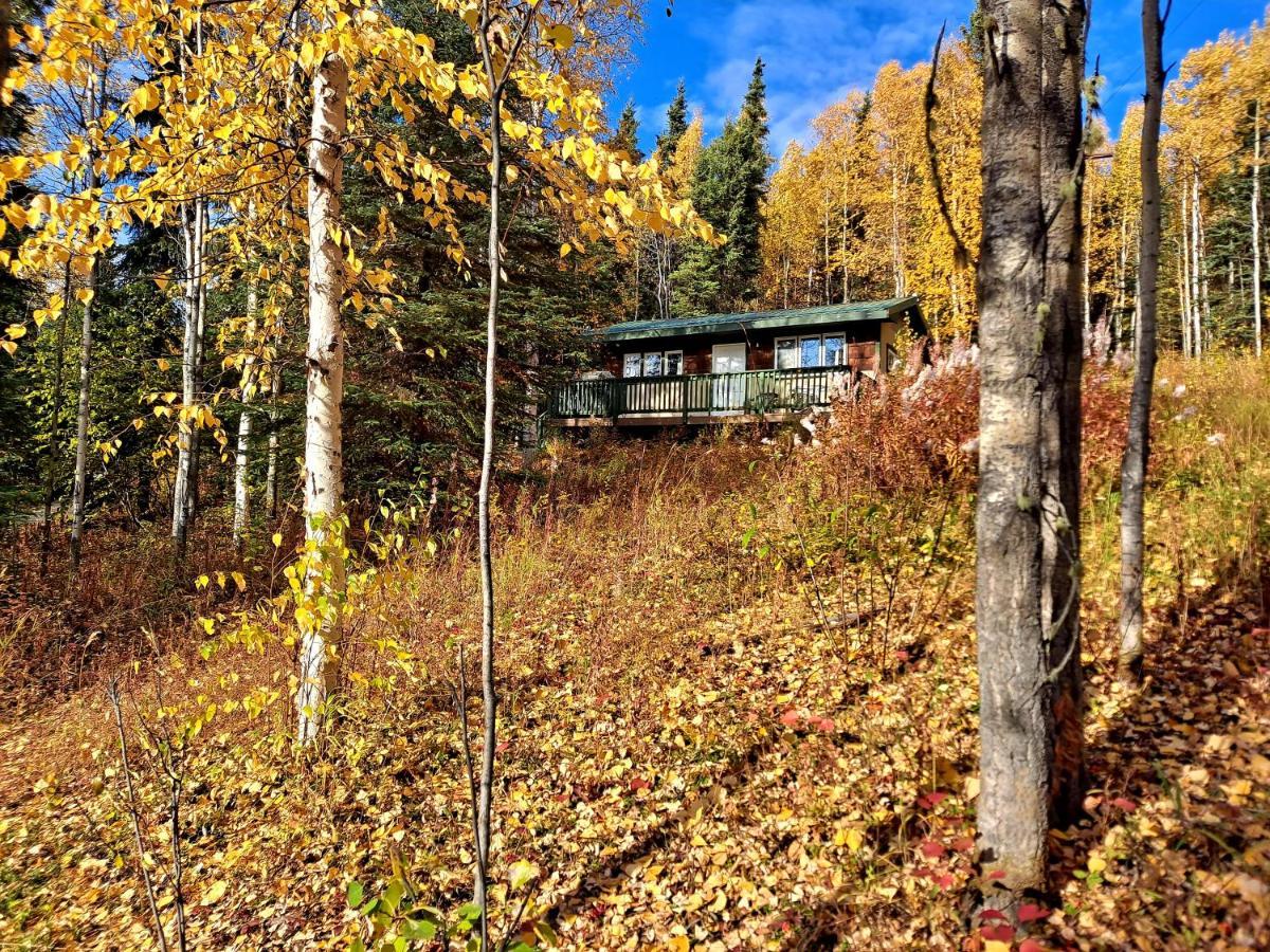Northwoods Cottage Bed And Breakfast Fairbanks Exterior foto