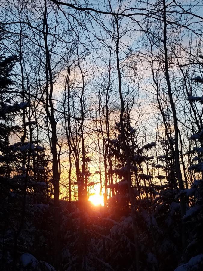 Northwoods Cottage Bed And Breakfast Fairbanks Exterior foto