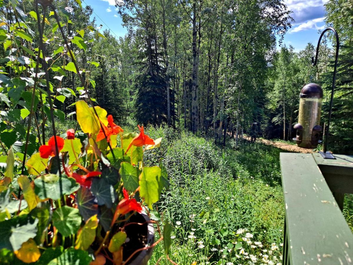 Northwoods Cottage Bed And Breakfast Fairbanks Exterior foto